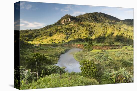 Namorona River, Ranomafana National Park, Madagascar Central Highlands, Madagascar, Africa-Matthew Williams-Ellis-Premier Image Canvas