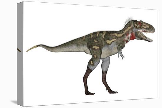 Nanotyrannus Dinosaur-Stocktrek Images-Stretched Canvas
