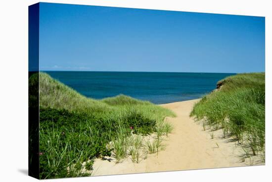 Nantucket Beach Dunes Photo Poster-null-Stretched Canvas