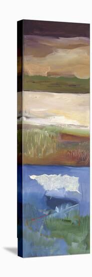 Nantucket Vistas II-Marlene Lenker-Stretched Canvas