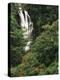 Nanue Falls, Alexandra Palms and African Tulip Trees, Hawaii, USA-Stuart Westmorland-Premier Image Canvas