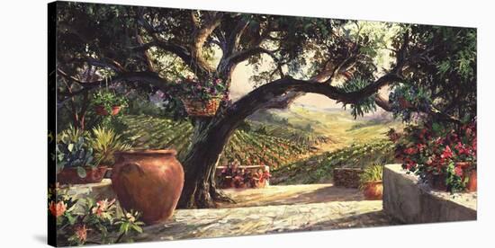 Napa Patio-Art Fronckowiak-Stretched Canvas