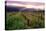 Napa Valley Sunset, Oakville, California-George Oze-Premier Image Canvas