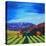 Napa Valley-Herb Dickinson-Premier Image Canvas