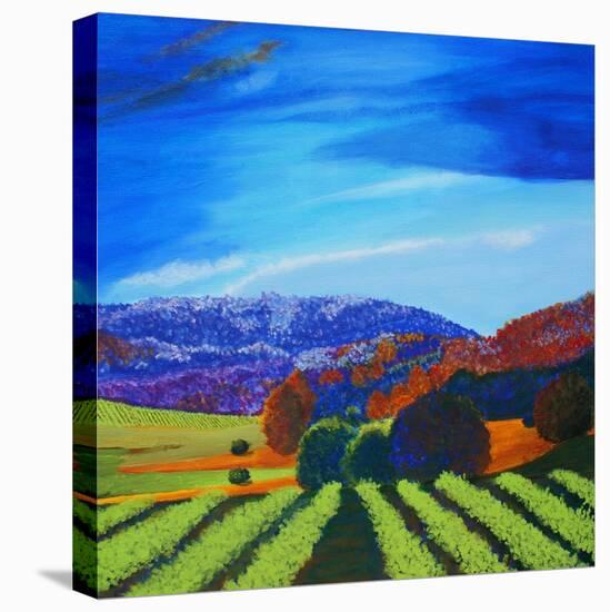 Napa Valley-Herb Dickinson-Premier Image Canvas