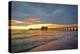 Naples Pier 1-Dennis Goodman-Premier Image Canvas