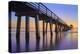 Naples Pier Panoramic III-Moises Levy-Premier Image Canvas