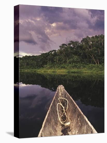 Napo Wildlife Center, Yasuni National Park, Amazon Basin, Ecuador-Christopher Bettencourt-Premier Image Canvas