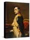 Napoleon as Emperor in His Study Circa 1807-null-Premier Image Canvas