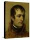 Napoleon Bonaparte First Consul, 1802-Thomas Phillips-Premier Image Canvas