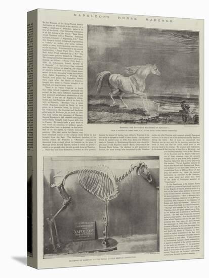 Napoleon's Horse, Marengo-James Ward-Premier Image Canvas