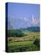 Naranjo De Bulnes (Peak), Picos De Europa Mountains, Asturias, Spain, Europe-David Hughes-Premier Image Canvas