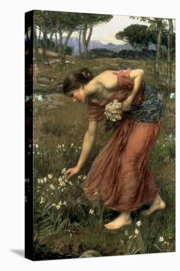 Narcissus, 1912-John William Waterhouse-Premier Image Canvas