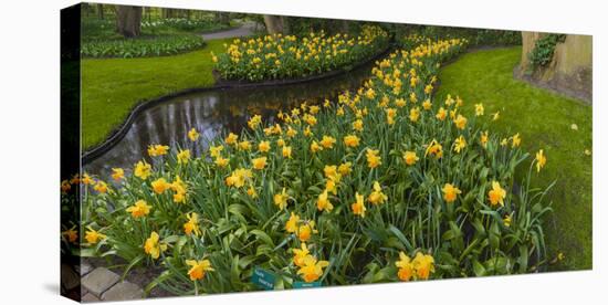 Narcissus by Reflecting Pond-Anna Miller-Premier Image Canvas