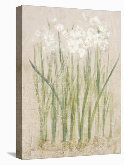 Narcissus Light-Cheri Blum-Stretched Canvas