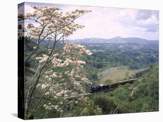 Narrow Gauge Rail Line Transporting Goods Between Guatemala and El Salvador-John Dominis-Premier Image Canvas