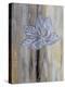 Narrow Tulip Hall-Smith Haynes-Stretched Canvas