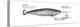 Narwhal (Monodon Monoceros), Mammals-Encyclopaedia Britannica-Stretched Canvas