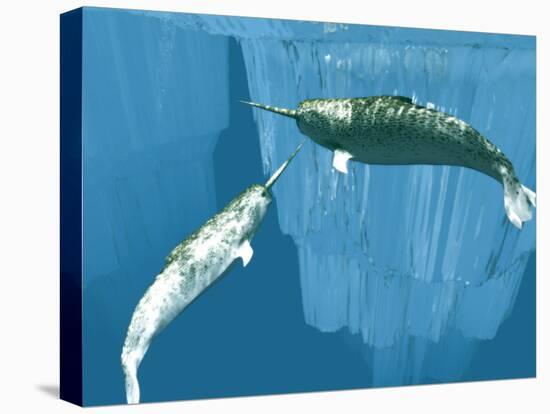 Narwhals-Christian Darkin-Premier Image Canvas