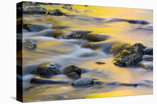 Nash Stream in Reddington Township, Maine. High Peaks Region. Fall-Jerry and Marcy Monkman-Premier Image Canvas