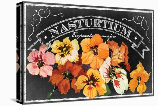 Nasturtium Blooms-null-Premier Image Canvas