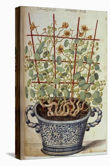 Nasturtium; Indian Cress Scrambling over a Trellis in a Blue and White Pot.  from 'Camerarius…-Joachim Camerarius-Premier Image Canvas