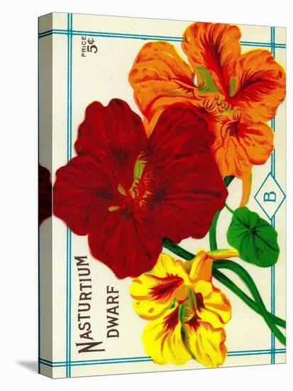 Nasturtium Seed Packet-Lantern Press-Stretched Canvas