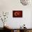 National Flag Of Turkey-Bruce stanfield-Stretched Canvas displayed on a wall