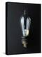 National Museum of American History - Science and Inventions: Light Bulb-null-Premier Image Canvas