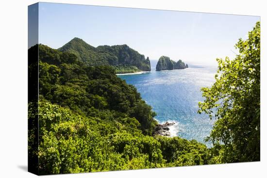 National Park of American Samoa, Tutuila Island, American Samoa, South Pacific-Michael Runkel-Premier Image Canvas