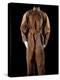 National Postal Museum: Amelia Earhart's Flight Suit-null-Premier Image Canvas