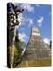 National Tree Called Kapok, Mayan Ruins, Tikal, Guatemala-Bill Bachmann-Premier Image Canvas