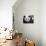 National Zoological Park: Giant Panda-null-Premier Image Canvas displayed on a wall