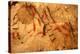 Native American Indian Background-vrjoyner-Stretched Canvas