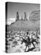 Native American Indian Boy Running His Horse Through Desert-Loomis Dean-Premier Image Canvas