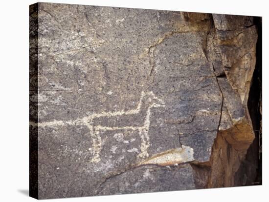 Native American Petroglyph of a Coyote or a Wolf Near Galisteo, New Mexico-null-Premier Image Canvas