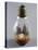 Nativity, Nativity Scene in Lightbulb, Italy-null-Premier Image Canvas