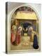 Nativity, with St. Catherine of Alexandria and St. Peter the Martyr, 1442-Fra Angelico-Premier Image Canvas