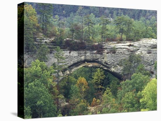 Natural Arch, Daniel Boone National Forest, Whitley City, Kentucky, USA-Adam Jones-Premier Image Canvas