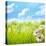 Natural Background with Daisy Flower on Grass-Liang Zhang-Premier Image Canvas