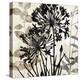 Natural Botanical 2-Melissa Pluch-Stretched Canvas