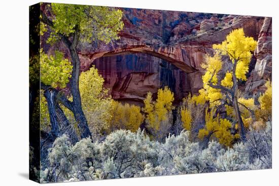 Natural Bridge in Grand Staircase-Escalante NM, Utah, USA-Scott T. Smith-Premier Image Canvas