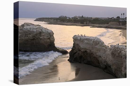 Natural Bridges State Park, Santa Cruz, California, United States of America, North America-Richard Cummins-Premier Image Canvas