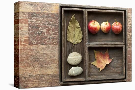 Natural Elements, Collection in the Letter Case-Andrea Haase-Premier Image Canvas