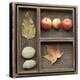 Natural Elements Collection in Type Case-Andrea Haase-Premier Image Canvas