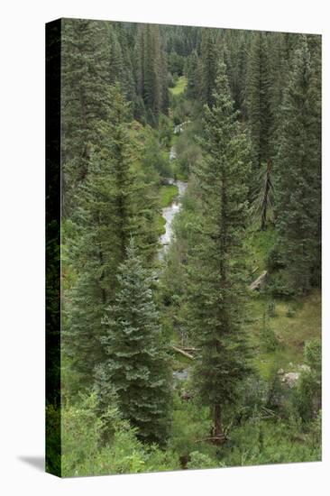 Natural Hot Spring Flowing Down a Rocky Slope High in the Jemez Mountains-null-Premier Image Canvas