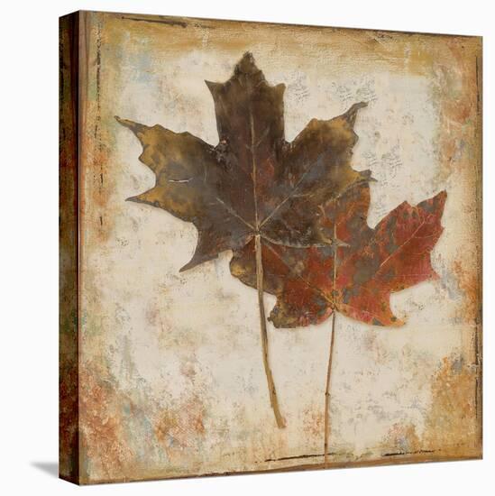 Natural Leaves IV-Patricia Pinto-Stretched Canvas