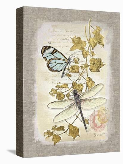 Natural Life, Dragonfly-Chad Barrett-Stretched Canvas