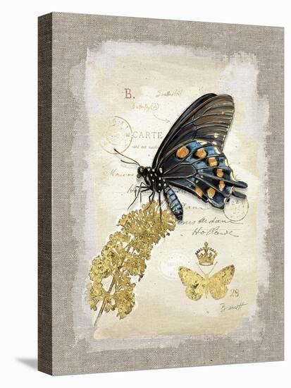 Natural Life, Rare Butterfly-Chad Barrett-Stretched Canvas