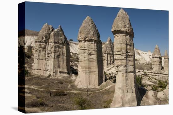 Natural Pinnacles in Volcanic Ash, Zemi Valley, Goreme, Cappadocia, Anatolia, Turkey Minor, Eurasia-Tony Waltham-Premier Image Canvas